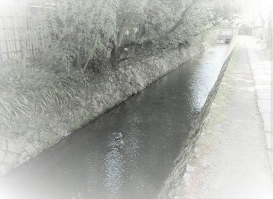 ���֤��γ����¿��ή��ˤΤäơ�����