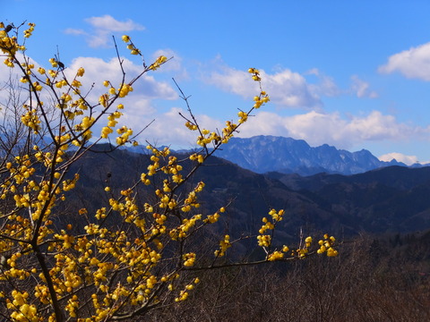 8��ξ������Ϲ��