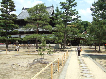 ��ʡ����ͺ����