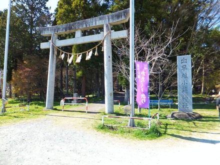 ½ÐÁáͺ¾®Çë¿À¼Ò