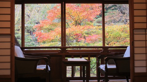 1ɴ��δ֤���