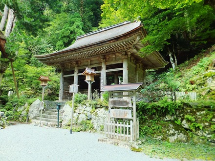 ÊöÄê»û¿Î²¦Ìç