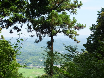 0�����⤫���Ӹ��򸫤�