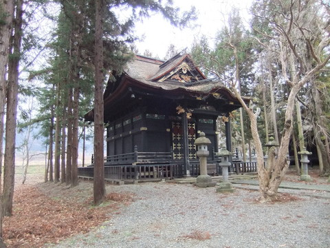 ��Ƿ������