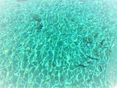 µû¤¬¤ß¤¨¤ëÇðÅç¤Î³¤