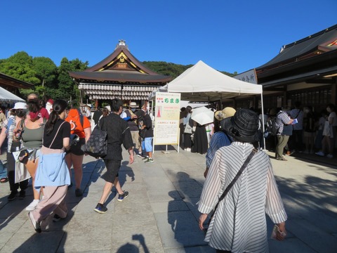 »²ÇҵҤǤ¤¤Ã¤Ñ¤¤