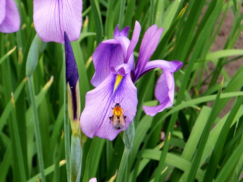 ���줫���ɤؤ⤰�ꡢ̪��ۤ��ޤ�