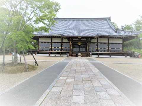 ¿ÎÏ»û¡¦¶âƲ