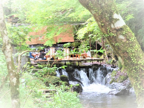 ⓪µ®Á¥¤ÎÀî¾²