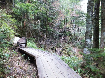 ��λĤ뻰����ؤ�ƻ