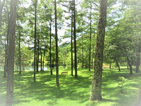 ¡èú²ÊÅìµÞ¥ê¥¾¡¼¥È¥Û¥Æ¥ë¤Î»¶ºö¥³¡¼¥¹