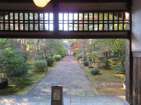 ����ϭ���黳��򸫤롡ŷ����