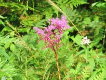 6�������Хʥ���ĥ�����