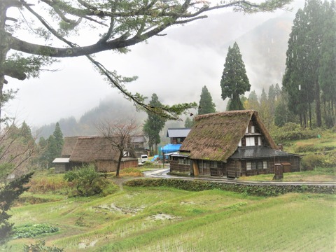 ��ī�������ҽ���