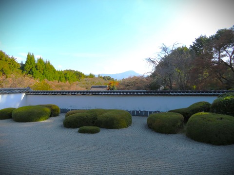 £°¥Ç¥Ó¥Ã¥É¥Ü¡¼¥¤¤¬°¦¤·¤¿ÀµÅÁ»û¡¦Èæ±Ã»³¤ò¼Ú·Ê¤È¤·¤¿Äí±à