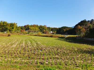 9・この辺りに市磯池(いちしのいけ)があったのかも・・・