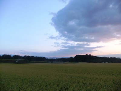 �����ı�����