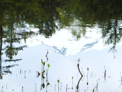 ��α�Ӥ˱Ǥ�դ���ȳ�