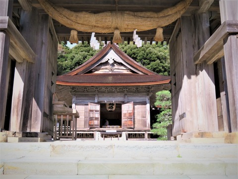 �����礫�����¤򸫤�