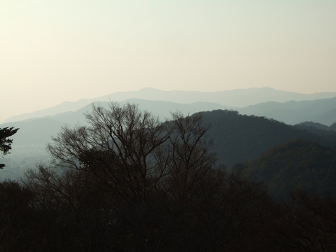西山愛宕山を望む