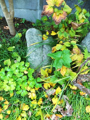 ¤¦¤ó¡¢±¢ÀФǤ¹¤Ê¤¡¡Á