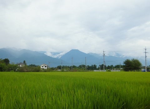 Â粦¤ï¤µ¤Ó±à¤è¤êÍÌÀ»³¤ò¸«¤ë