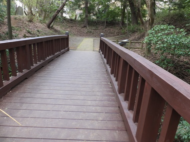 6�����������ܴݤ��Ʒ��׸��򸫤�