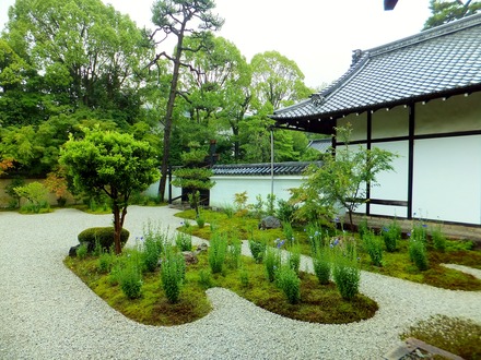 ��ʬ�餭����