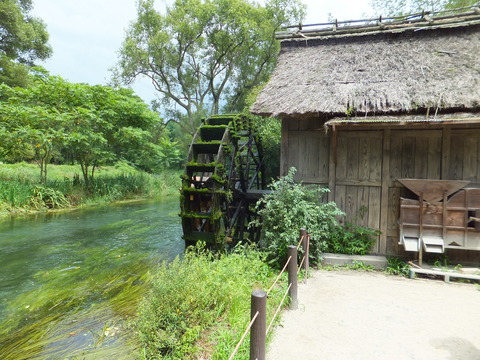 Â粦¤ï¤µ¤Ó±à¤Î¿å¼Ö¾®²°