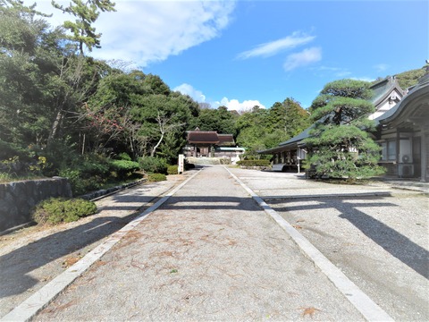 ����¿��һ�ƻ