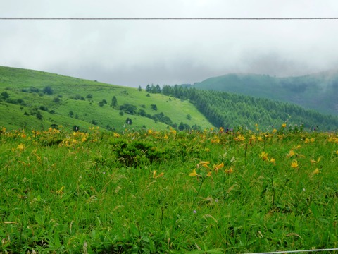 �ֻ����˹�����˥å���������