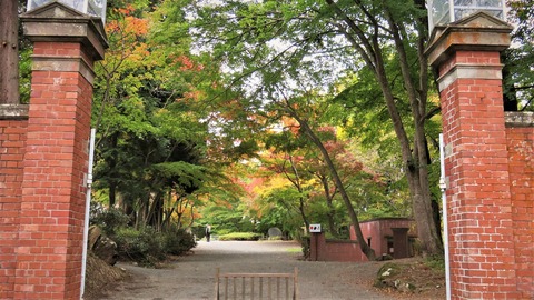 31��ŷ���������礫��š����դ򸫤�