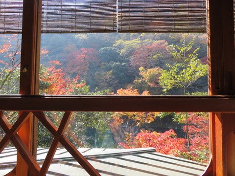 Áë±Û¤·¤ËÊÝÄÅÀî¤È¹ÈÍÕ