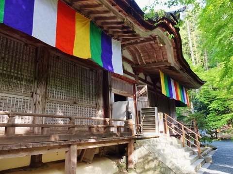 ��������Ʋ