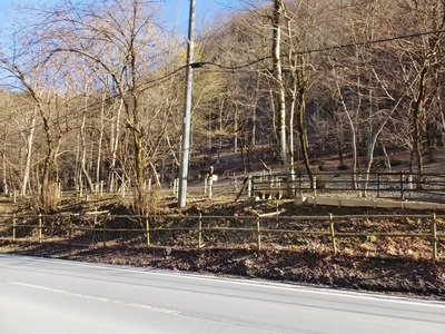 12�������Ϥ���ʬ�𤬼�������