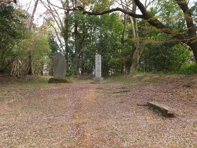 6���ܴݤ�Ω���컳��Ԯ����