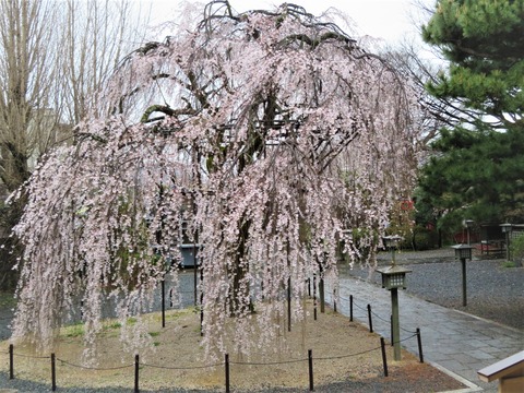 �����ܼ��Ʋ��������