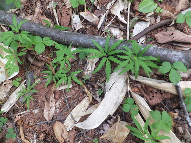 ��������ɱ���