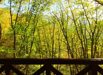 7�����������ޤ�