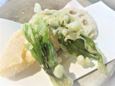 ÌîºÚ¤ÎÅ·¤×¤é¡¡Ê¿Ìî²°