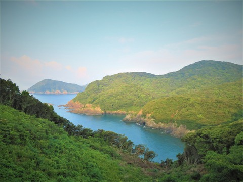 �٥�꡼��������������