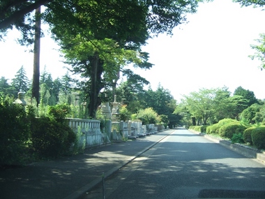 人影もまばらな多磨霊園