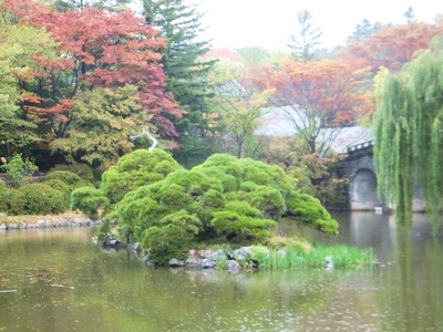 �̼��ӤȲ�æ��