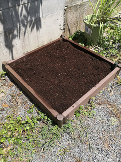 IMG_20200815_111905[1]