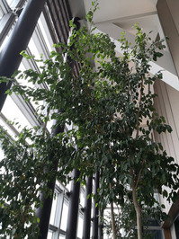 IMG_20200922_142445[1]