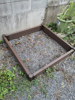 IMG_20200815_110411[1]