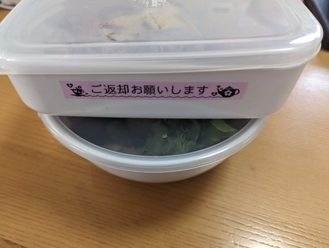 PXL_20230827_035223231