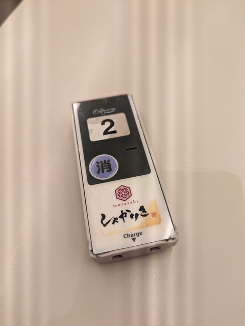 PXL_20240109_023914591