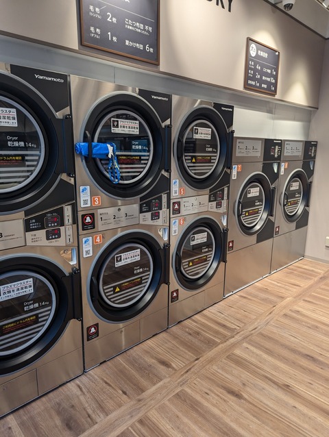 PXL_20230504_092830381