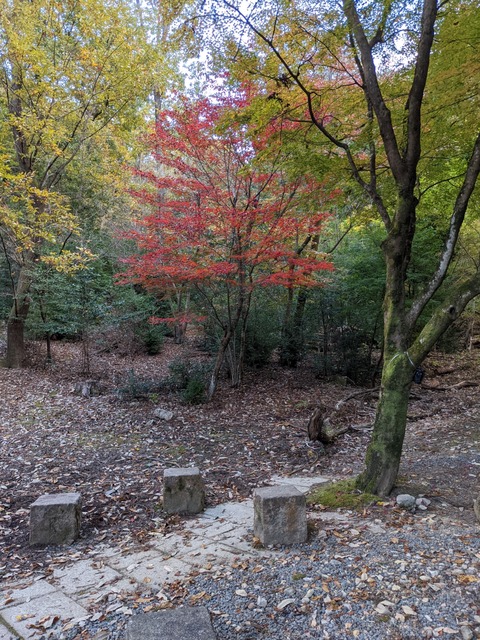 PXL_20211117_071221212